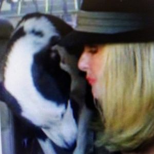 Meet your Posher, Sonia